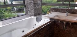Suites @ Cairnhill (D9), Apartment #601435501
